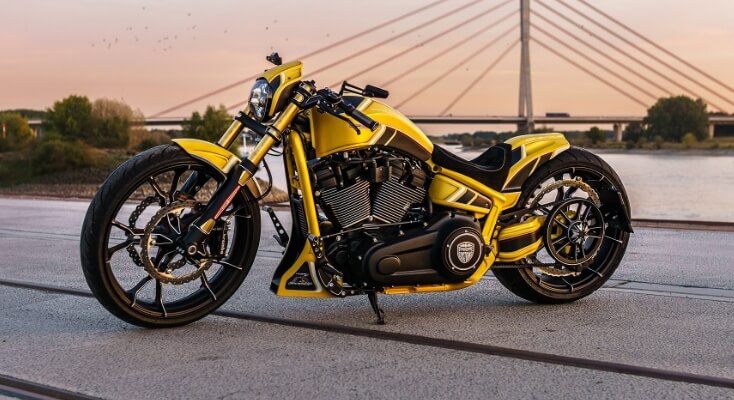 Custom Bike